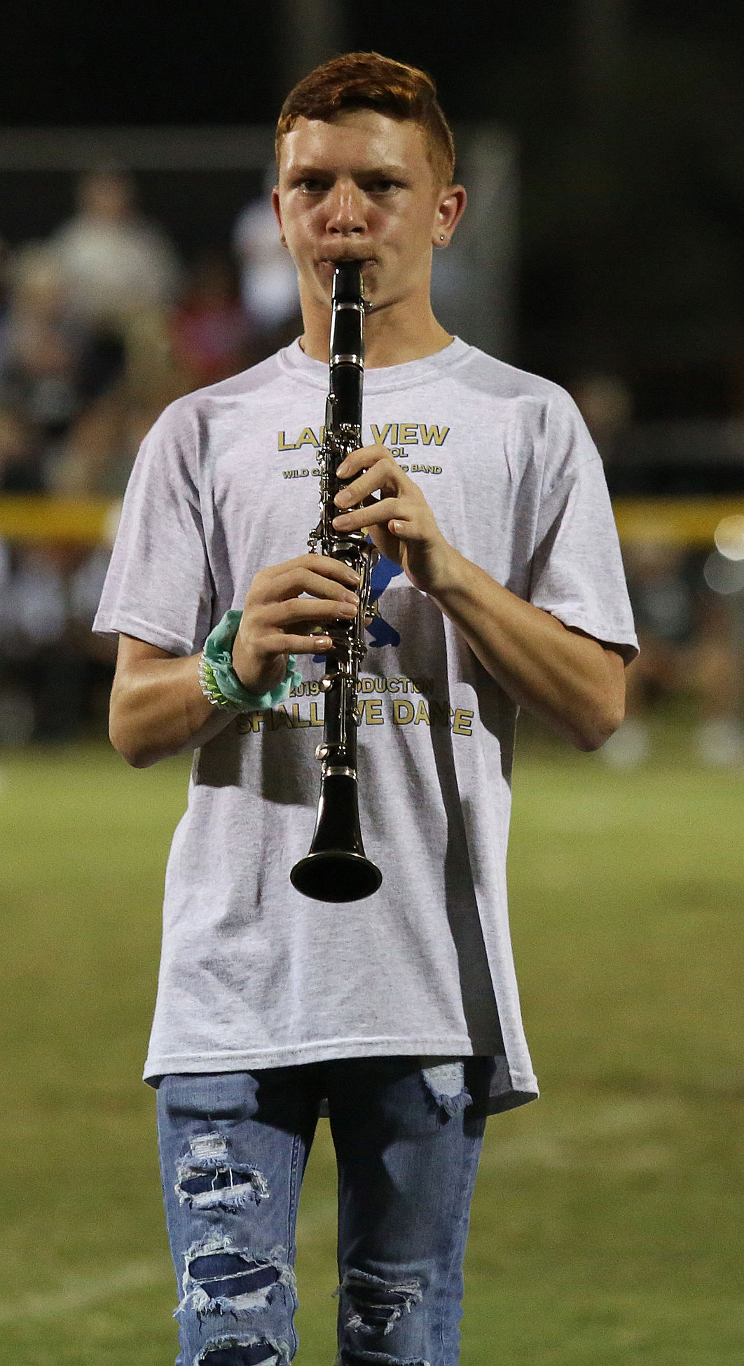 Lake View Band